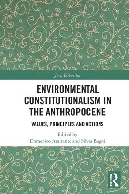 bokomslag Environmental Constitutionalism in the Anthropocene