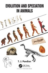 bokomslag Evolution and Speciation in Animals