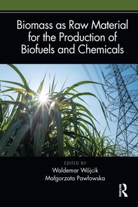 bokomslag Biomass as Raw Material for the Production of Biofuels and Chemicals