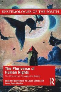 bokomslag The Pluriverse of Human Rights: The Diversity of Struggles for Dignity
