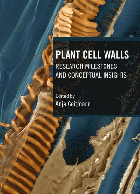 Plant Cell Walls 1