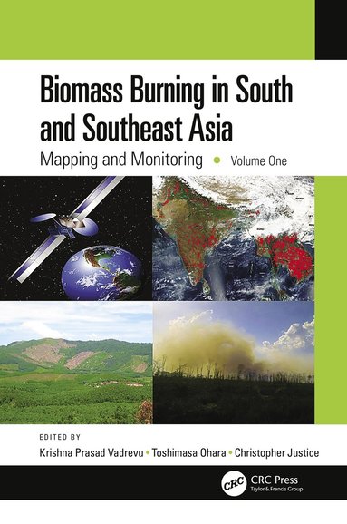 bokomslag Biomass Burning in South and Southeast Asia