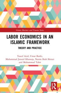 bokomslag Labor Economics in an Islamic Framework