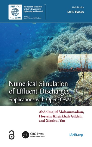 bokomslag Numerical Simulation of Effluent Discharges