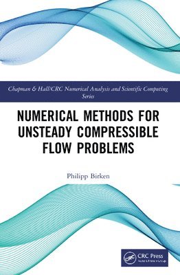 Philipp Birken - Numerical Methods for Unsteady Compressible Flow Problems, Häftad