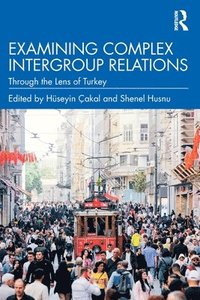 bokomslag Examining Complex Intergroup Relations