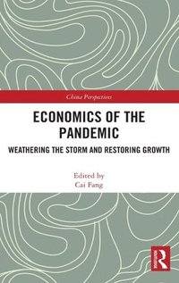 bokomslag Economics of the Pandemic
