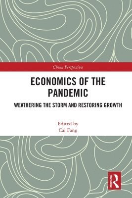 bokomslag Economics of the Pandemic