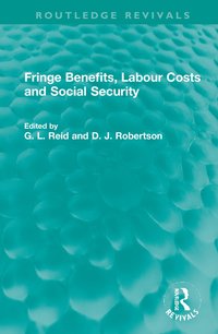 bokomslag Fringe Benefits, Labour Costs and Social Security