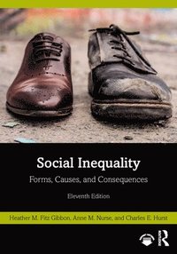 bokomslag Social Inequality