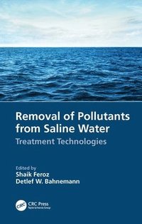 bokomslag Removal of Pollutants from Saline Water