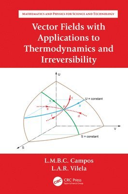 Luis Manuel Braga da Costa Campos, Luís António Raio Vilela - Vector Fields with Applications to Thermodynamics and Irreversibility, Inbunden