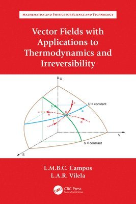 Luis Manuel Braga da Costa Campos, Luís António Raio Vilela - Vector Fields with Applications to Thermodynamics and Irreversibility, Häftad