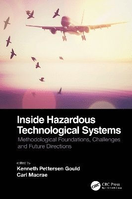 Inside Hazardous Technological Systems 1