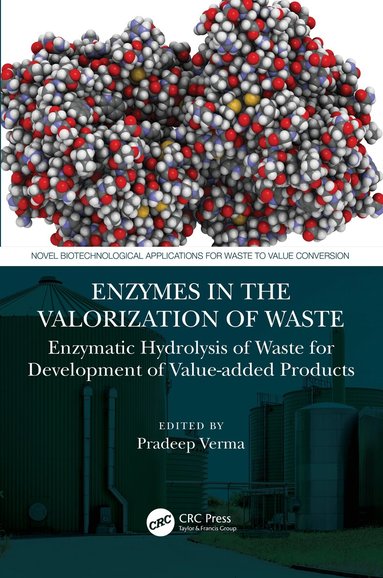 Pradeep Verma - Enzymes in the Valorization of Waste, Häftad