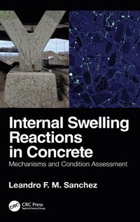bokomslag Internal Swelling Reactions in Concrete