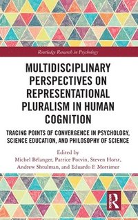 bokomslag Multidisciplinary Perspectives on Representational Pluralism in Human Cognition