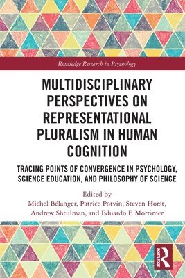 bokomslag Multidisciplinary Perspectives on Representational Pluralism in Human Cognition