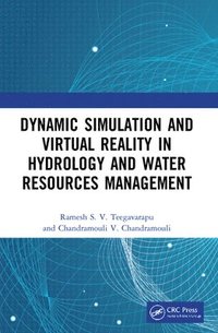 bokomslag Dynamic Simulation and Virtual Reality in Hydrology and Water Resources Management
