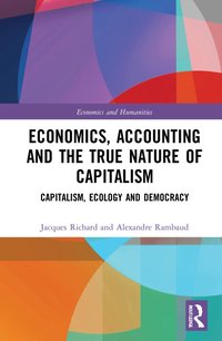 bokomslag Economics, Accounting and the True Nature of Capitalism