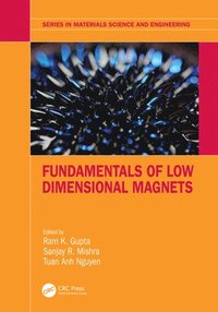 bokomslag Fundamentals of Low Dimensional Magnets