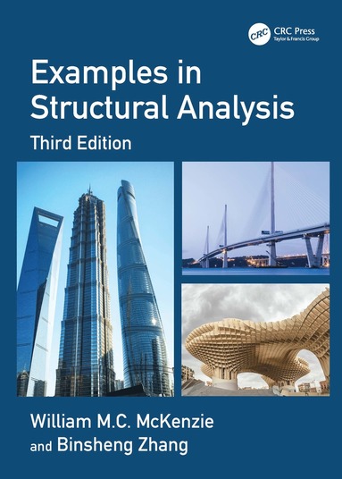 bokomslag Examples in Structural Analysis