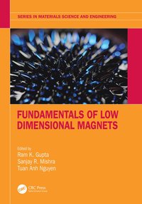 bokomslag Fundamentals of Low Dimensional Magnets