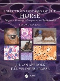 bokomslag Infectious Diseases of the Horse