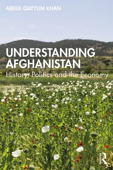 Abdul Qayyum - Understanding Afghanistan, Häftad