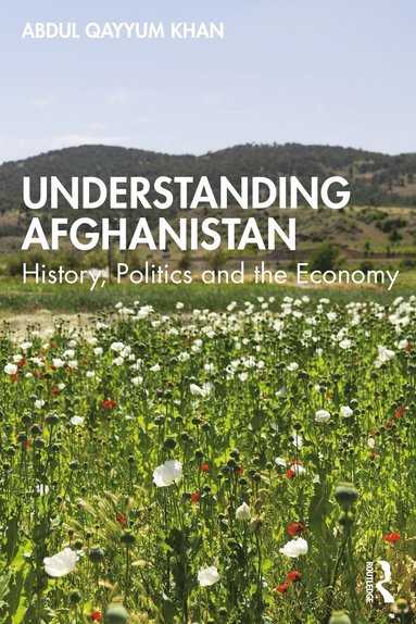 bokomslag Understanding Afghanistan