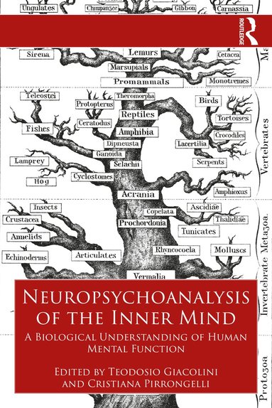 bokomslag Neuropsychoanalysis of the Inner Mind