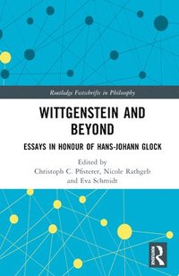 bokomslag Wittgenstein and Beyond