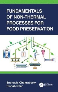 bokomslag Fundamentals of Non-Thermal Processes for Food Preservation