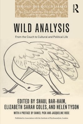 bokomslag Wild Analysis