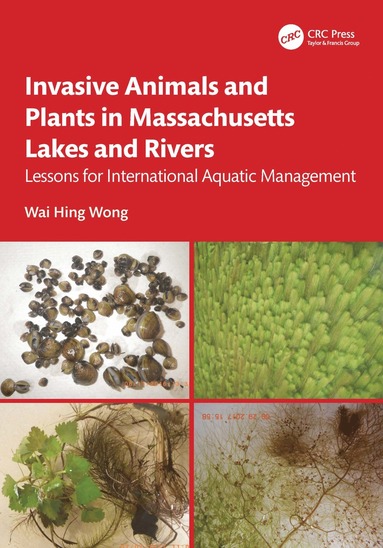 bokomslag Invasive Animals and Plants in Massachusetts Lakes and Rivers