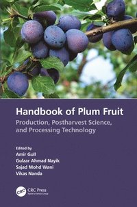 bokomslag Handbook of Plum Fruit