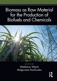 bokomslag Biomass as Raw Material for the Production of Biofuels and Chemicals