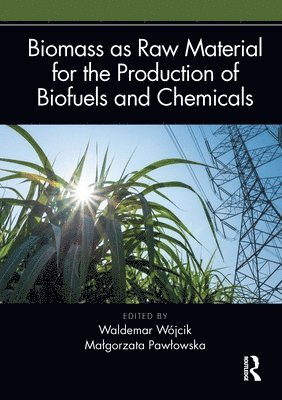bokomslag Biomass as Raw Material for the Production of Biofuels and Chemicals