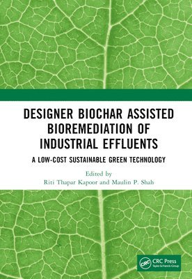 bokomslag Designer Biochar Assisted Bioremediation of Industrial Effluents