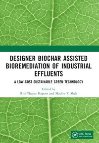 bokomslag Designer Biochar Assisted Bioremediation of Industrial Effluents