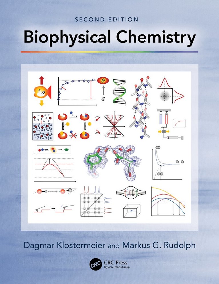 Dagmar Klostermeier, Markus G. Rudolph - Biophysical Chemistry, Häftad