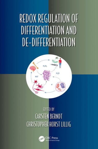 Carsten Berndt, Christopher Lillig - Redox Regulation of Differentiation and De-differentiation, Häftad