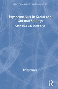 bokomslag Psychoanalysis in Social and Cultural Settings