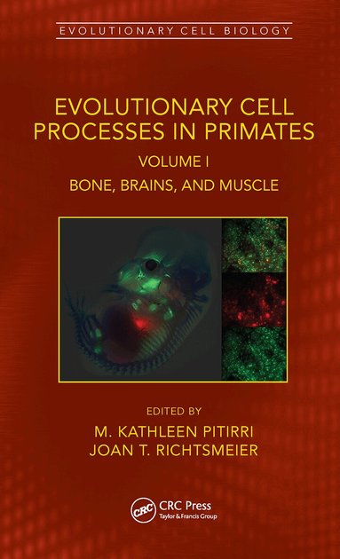 M. Kathleen Pitirri, Joan T. Richtsmeier - Evolutionary Cell Processes in Primates, Häftad