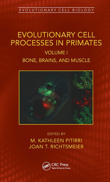 bokomslag Evolutionary Cell Processes in Primates