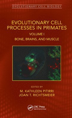Evolutionary Cell Processes in Primates