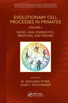 M. Kathleen Pitirri, Joan T. Richtsmeier, M Kathleen Pitirri, Joan T Richtsmeier - Evolutionary Cell Processes in Primates, Häftad