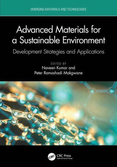 Naveen Kumar, Peter Ramashadi Makgwane - Advanced Materials for a Sustainable Environment, Häftad