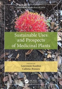 bokomslag Sustainable Uses and Prospects of Medicinal Plants