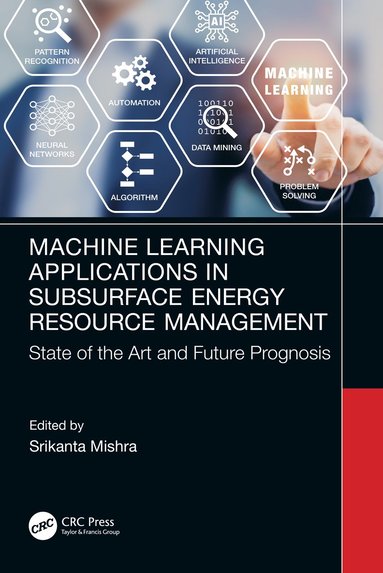 bokomslag Machine Learning Applications in Subsurface Energy Resource Management